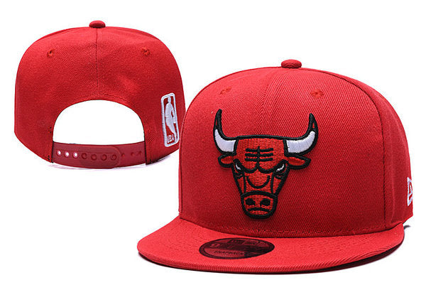 NBA Chicago Bulls Snapbacks Hat - thehatslover